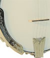 banjos for sale